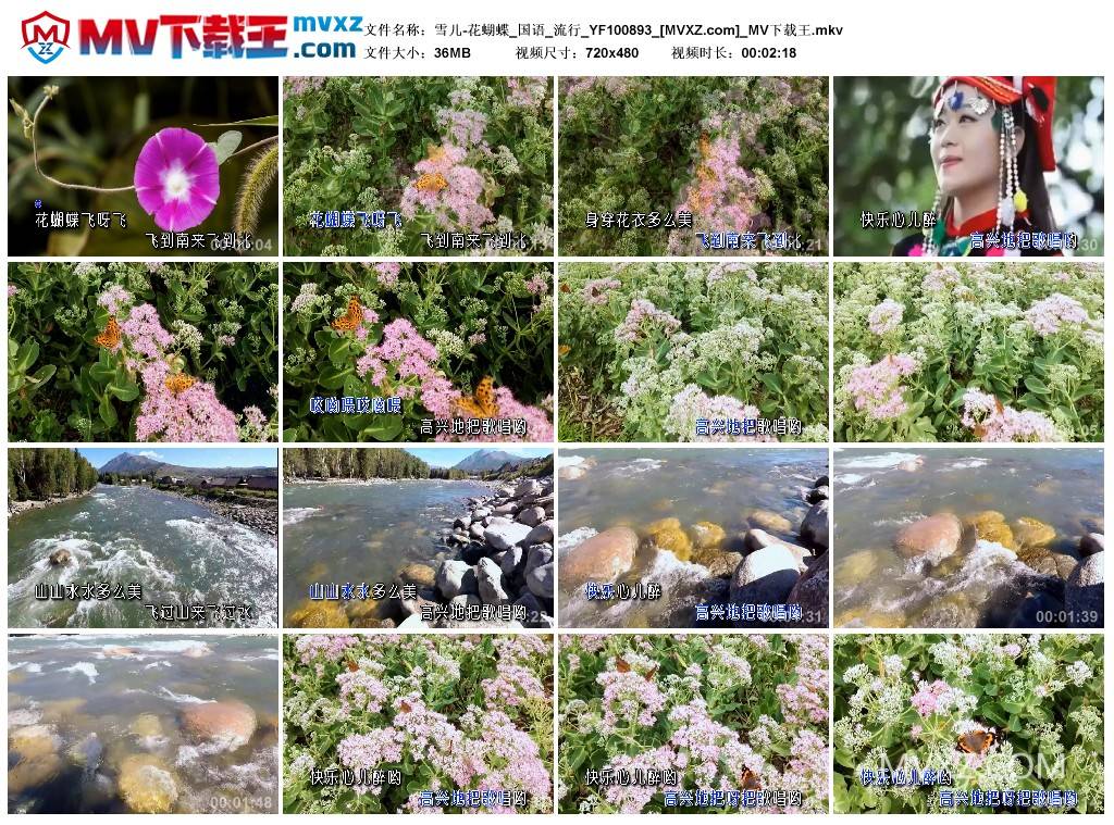 雪儿-花蝴蝶_国语_流行_YF100893